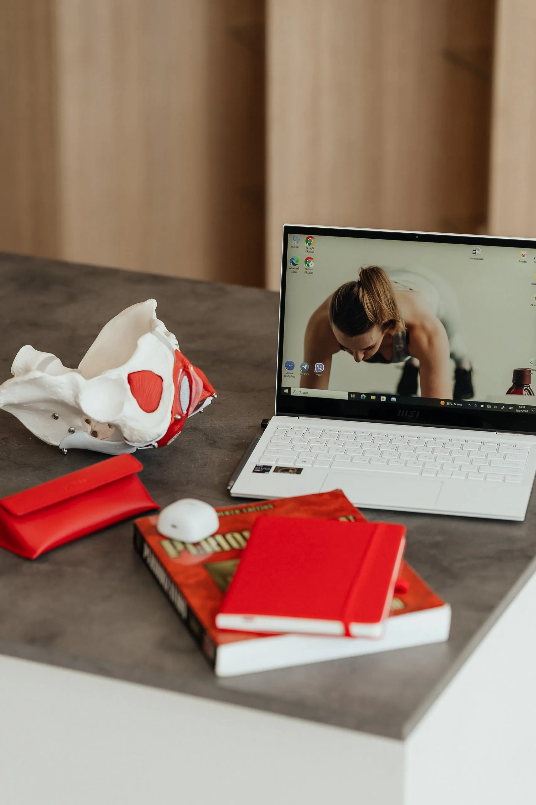 Робочий стіл: модель мʼязів тазового дна, ноутбук і нотатник — контекст щоденних задач